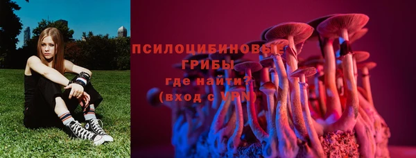 гашик Аркадак