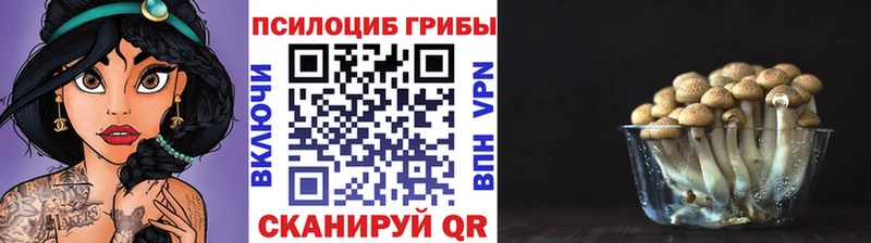 продажа наркотиков  Лениногорск  Псилоцибиновые грибы MAGIC MUSHROOMS 